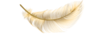 Deko Feder